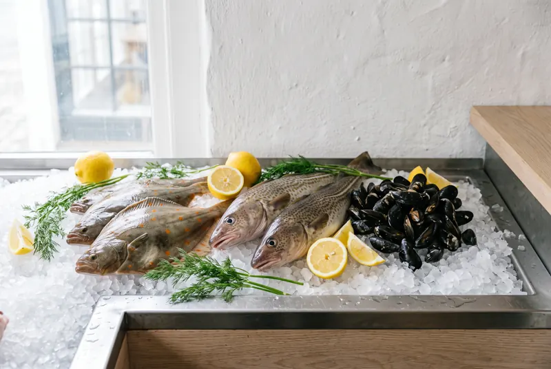 Disken med isbakke og friske fisk på række