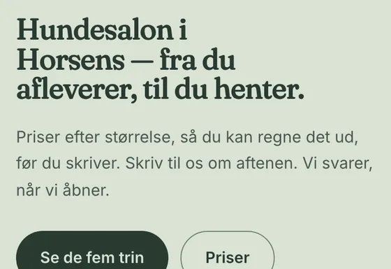 Telefonbillede af Børstelund Hundesalon, en side vi har bygget